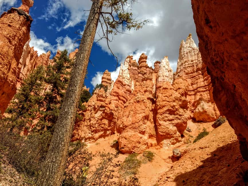 image n.7 of Bryce Canyon National Park Hiking Experience activity in Bryce Canyon City, uploaded by supplier