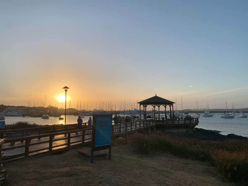 image n.12 of From Montevideo: Punta del Este Full-Day Tour with Guide activity in Punta del Este, uploaded by supplier