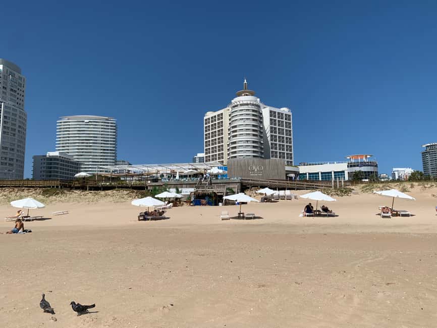 image n.13 of From Montevideo: Punta del Este Full-Day Tour with Guide activity in Punta del Este, uploaded by supplier