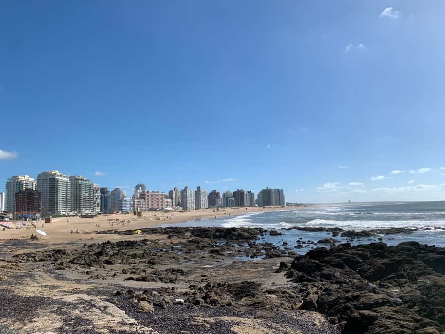 image n.18 of From Montevideo: Punta del Este Full-Day Tour with Guide activity in Punta del Este, uploaded by supplier
