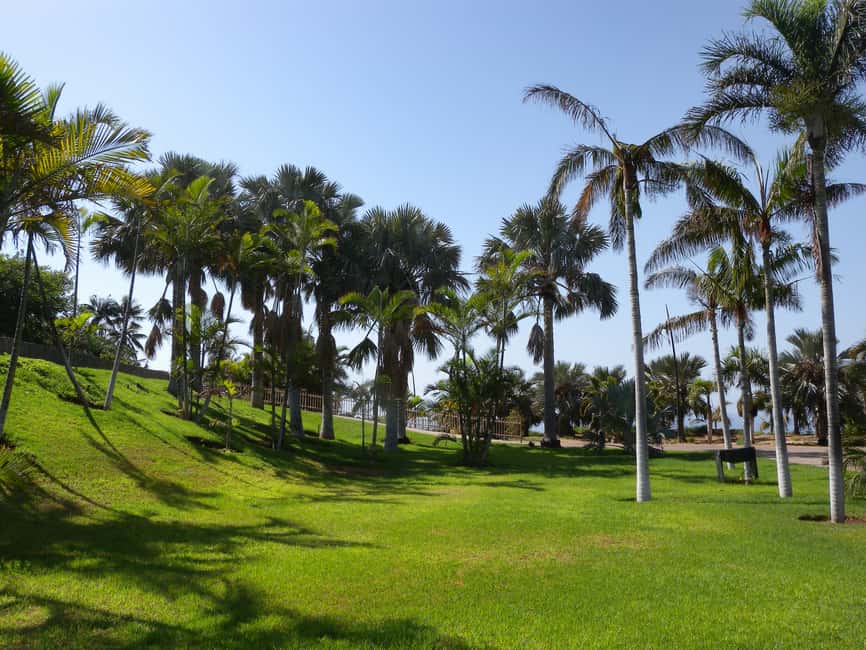 image n.5 of Santa Cruz de Tenerife Palmetum Entry Ticket activity in Santa Cruz de Tenerife, uploaded by supplier