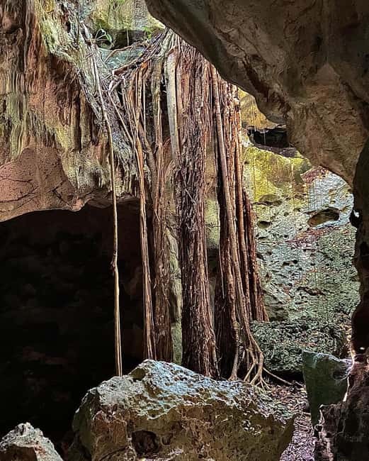 imagem n.9 de Excursão e transporte para as cavernas Green Grotto atividade em Clarendon, carregada pelo fornecedor
