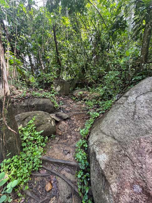 billede nr.7 af aktiviteten San Juan: El Yunque-vandfald og Luquillo-strandtur i Río Grande, Puerto Rico, uploadet af udbyder