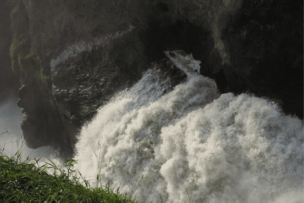 image n.16 of Kampala: 2-Day Murchison Falls National Park Safari activity in Pader District, uploaded by supplier