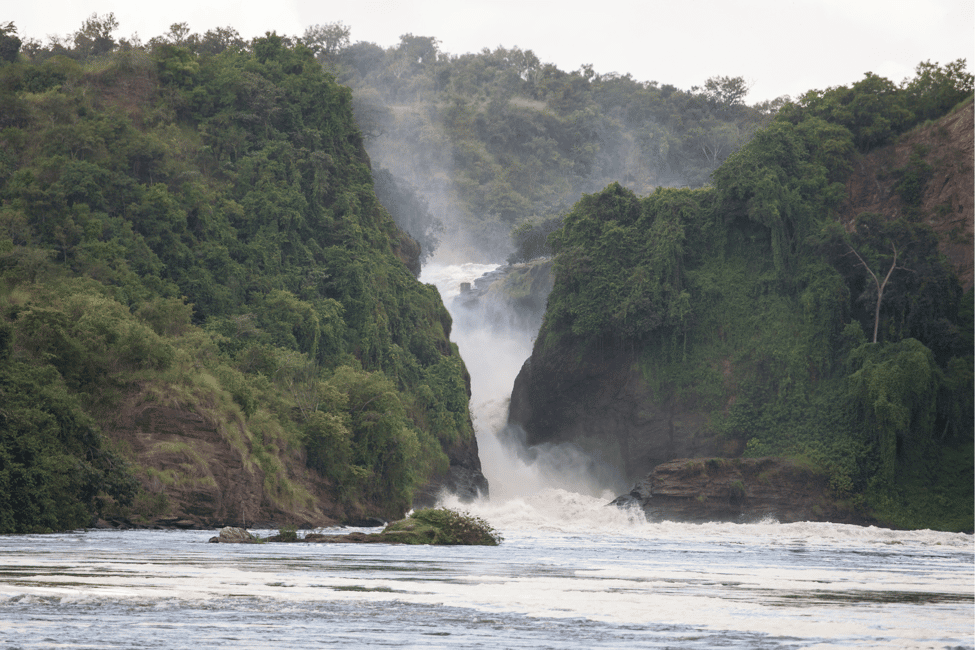 image n.17 of Kampala: 2-Day Murchison Falls National Park Safari activity in Pader District, uploaded by supplier