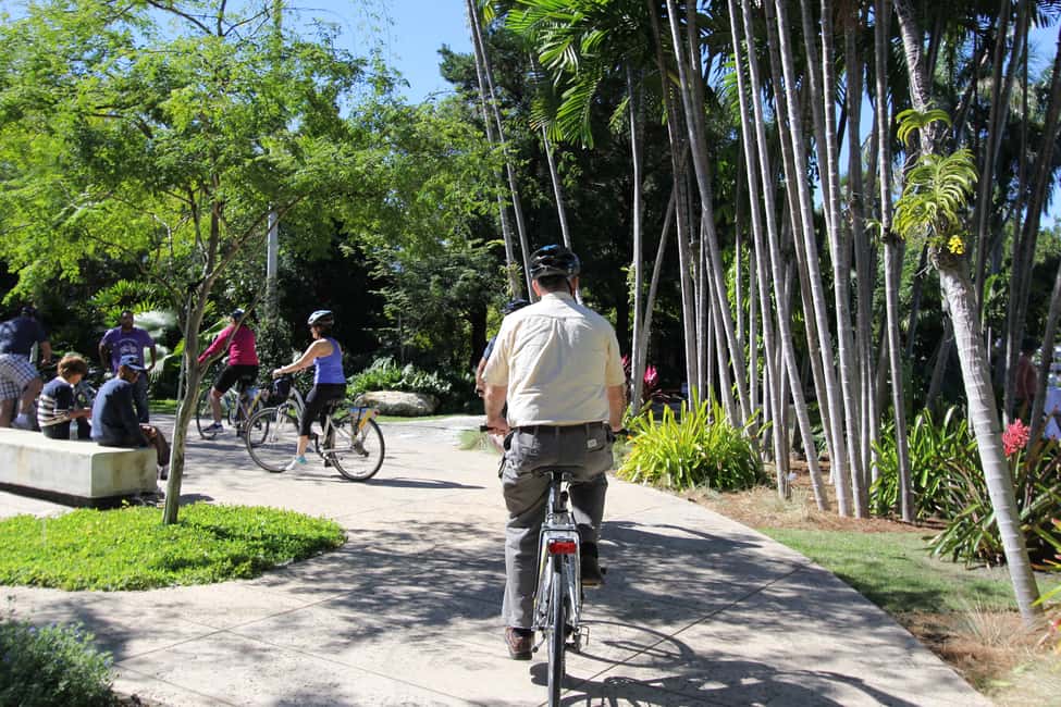 image n.5 of Miami: Bike Rental activity in Miami, uploaded by supplier