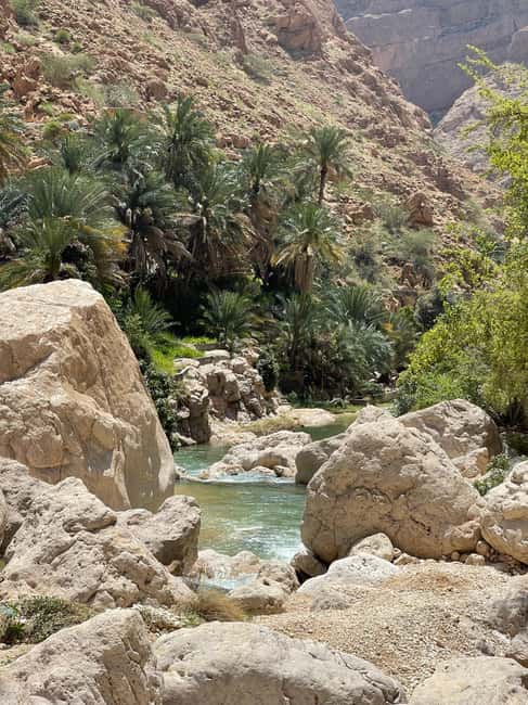 Immagine nº 17 di Muscat: escursione di un'intera giornata a Wadi Shab, grotta romantica e sinkhole attività a Regione al-Sharqiyya, caricata dal fornitore
