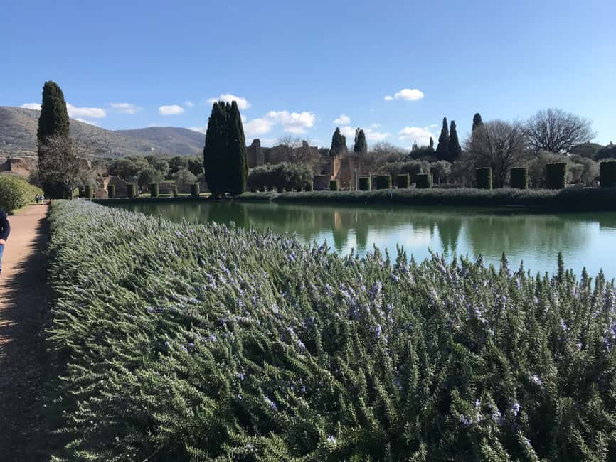 Immagine nº 4 di Roma: tour privato di Villa Adriana con archeologo attività a Tivoli, Lazio, caricata dal fornitore