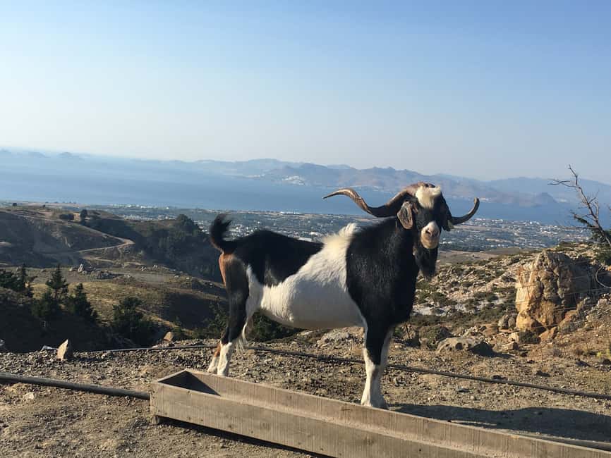 image n.6 of Kos: Full-Day Jeep Safari with Lunch activity in Dodecanese, uploaded by supplier