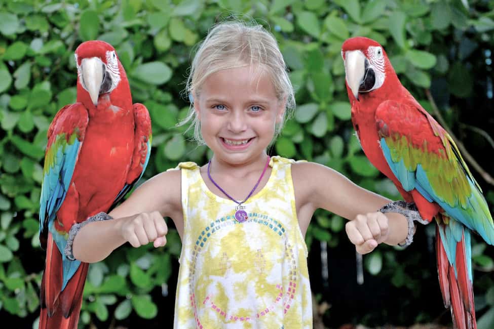 image n.10 of Miami: Go City All-Inclusive Pass with 30+ Attractions activity in Miami, uploaded by supplier