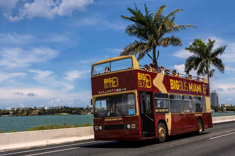 image n.4 of Miami: Go City All-Inclusive Pass with 30+ Attractions activity in Miami, uploaded by supplier