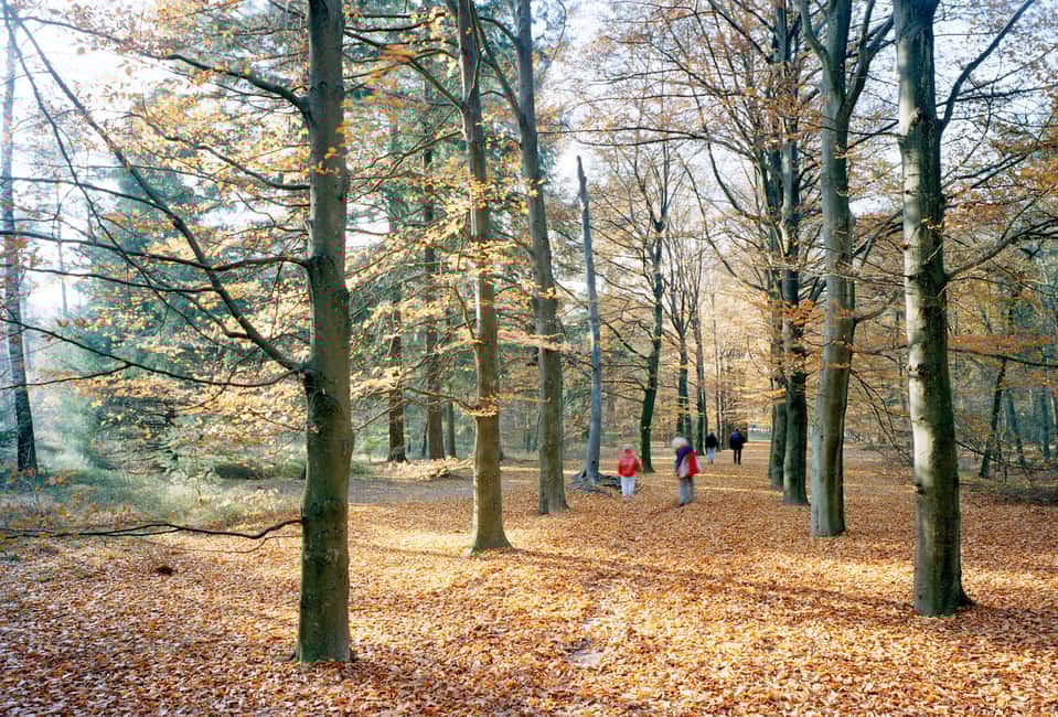 image n.8 of Kröller-Müller Museum Entrance Ticket activity in Gelderland, uploaded by supplier