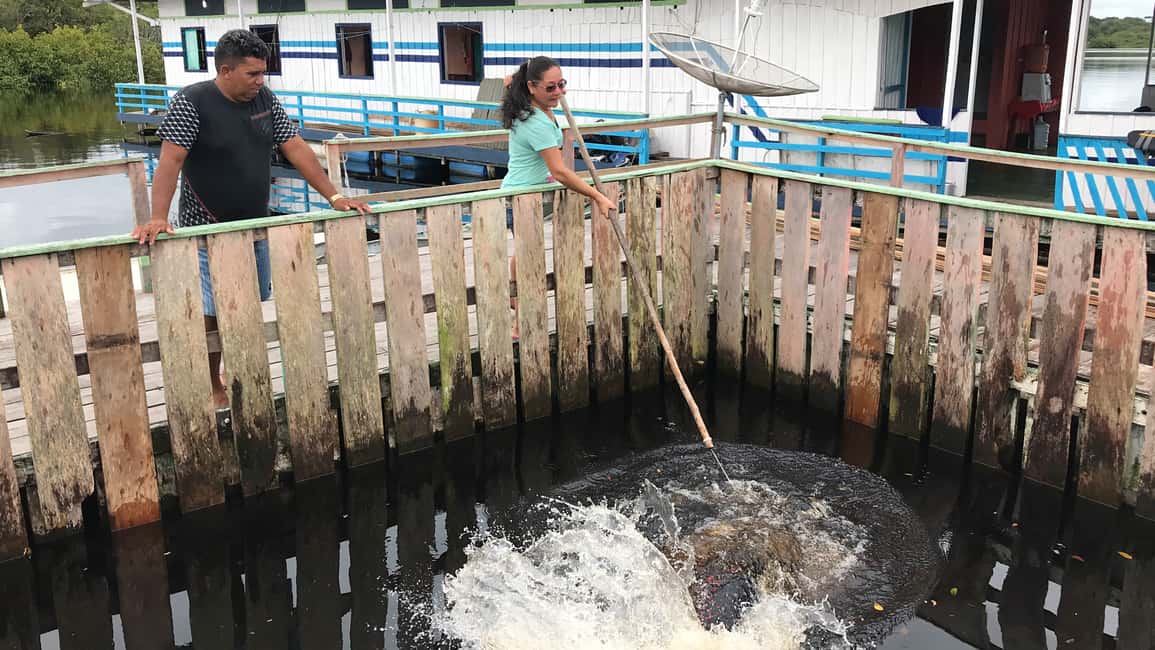 imagen n.º 6 de Amazonas: Paseo en barco con un amazónico local actividad en Manaos, subida por el proveedor