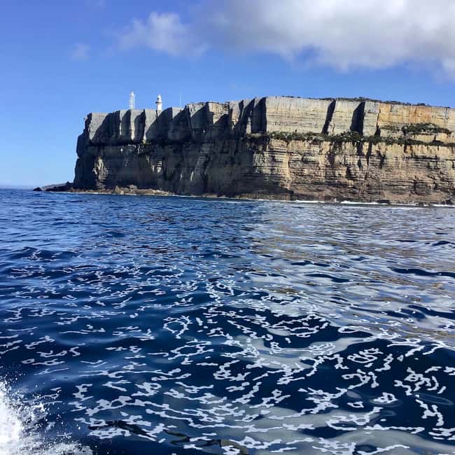 image n.8 of Jervis Bay: 2-Hour Cruise of Jervis Bay Passage activity in New South Wales, uploaded by supplier