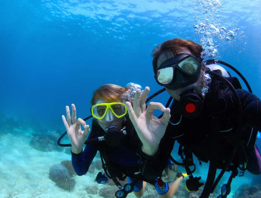 image n.17 of Menorca: Baptism Scuba Diving in Marine Reserve activity in Port d'Addaia, uploaded by supplier