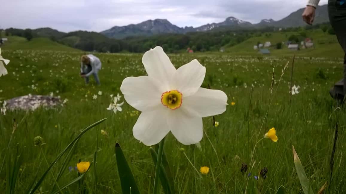 image n.18 of From Podgorica: Durmitor NP & Tara canyon-Amazing Montenegro activity in Žabljak, uploaded by supplier