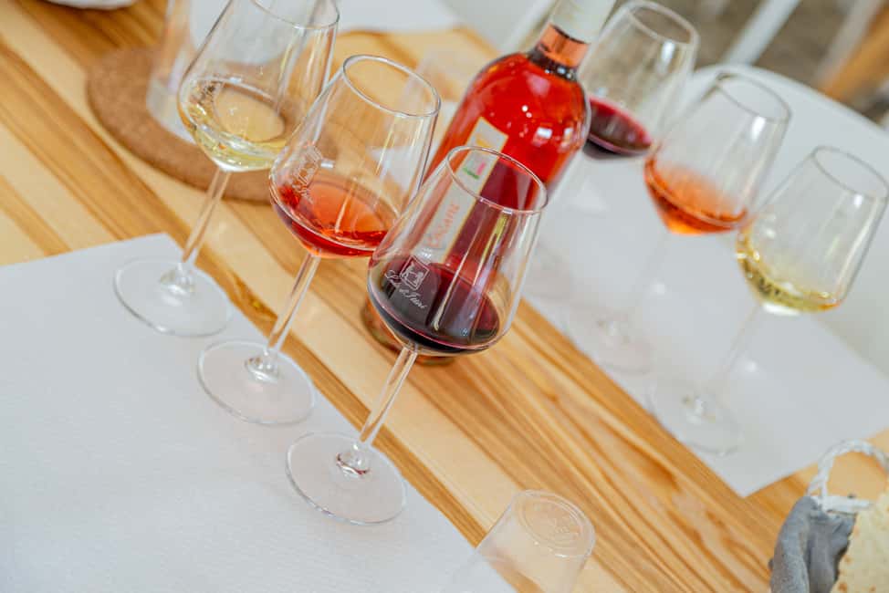 image n.3 of Alghero: Wine and Olive Oil Tasting at a Local Farm activity in Alghero, uploaded by supplier
