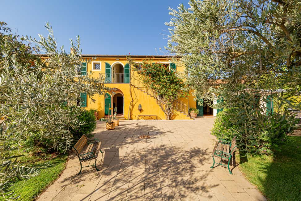 image n.4 of Alghero: Wine and Olive Oil Tasting at a Local Farm activity in Alghero, uploaded by supplier