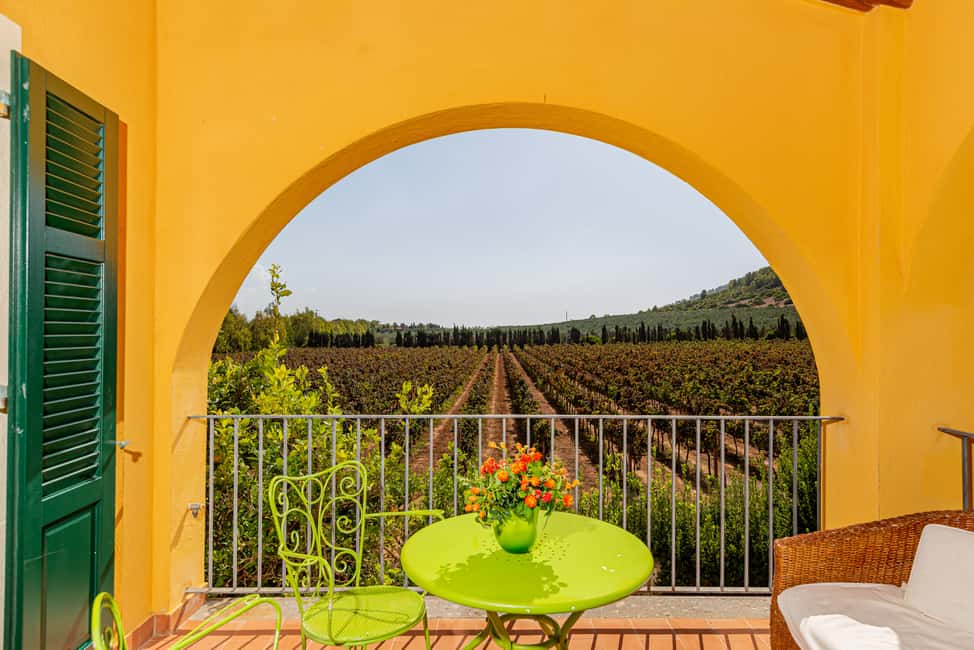image n.9 of Alghero: Wine and Olive Oil Tasting at a Local Farm activity in Alghero, uploaded by supplier