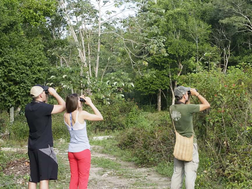 image n.13 of From Riviera Maya : Sian Ka'an Muyil Birdwatching with Guide activity in Yucatan Peninsula, uploaded by supplier