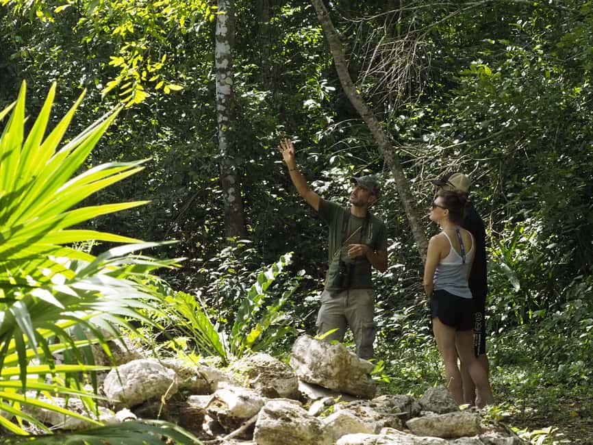 image n.14 of From Riviera Maya : Sian Ka'an Muyil Birdwatching with Guide activity in Yucatan Peninsula, uploaded by supplier