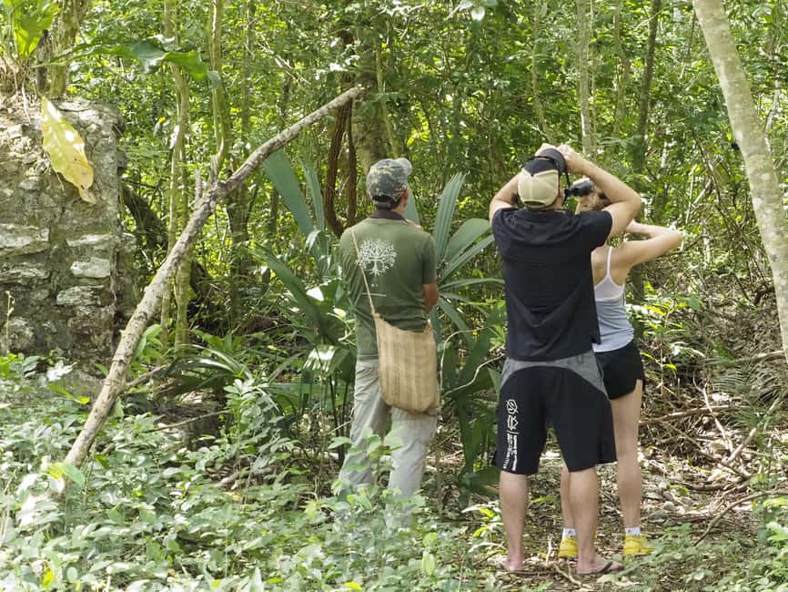 image n.15 of From Riviera Maya : Sian Ka'an Muyil Birdwatching with Guide activity in Yucatan Peninsula, uploaded by supplier