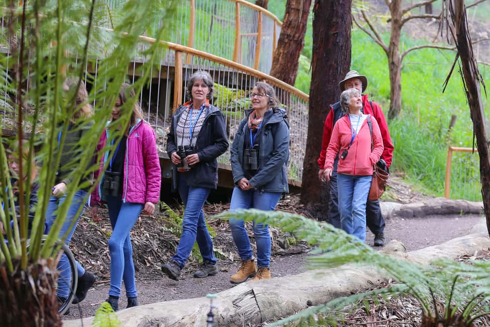 image n.6 of Great Ocean Road: Guided Wildlife Walk that Supports Nature activity in Skenes Creek, uploaded by supplier