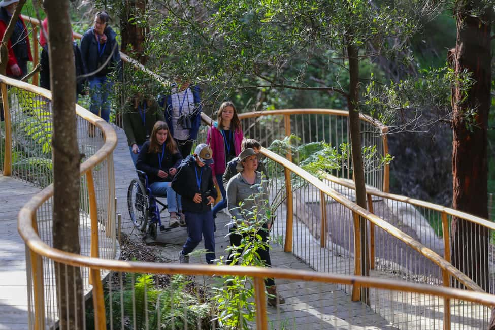 image n.7 of Great Ocean Road: Guided Wildlife Walk that Supports Nature activity in Skenes Creek, uploaded by supplier