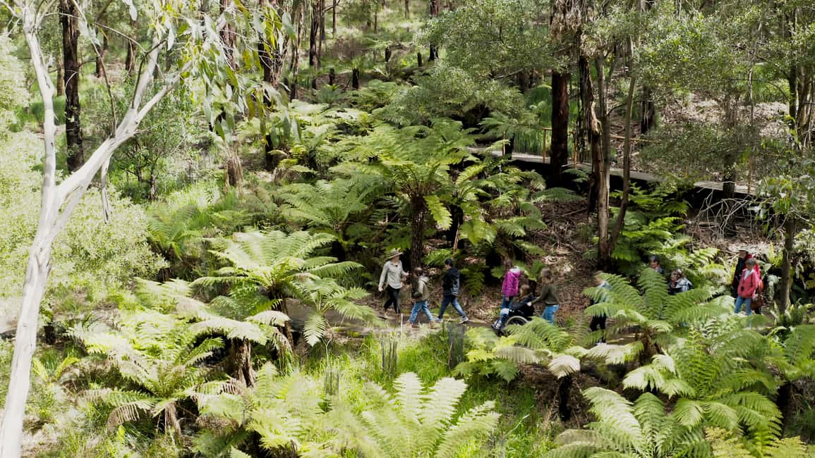 image n.8 of Great Ocean Road: Guided Wildlife Walk that Supports Nature activity in Skenes Creek, uploaded by supplier