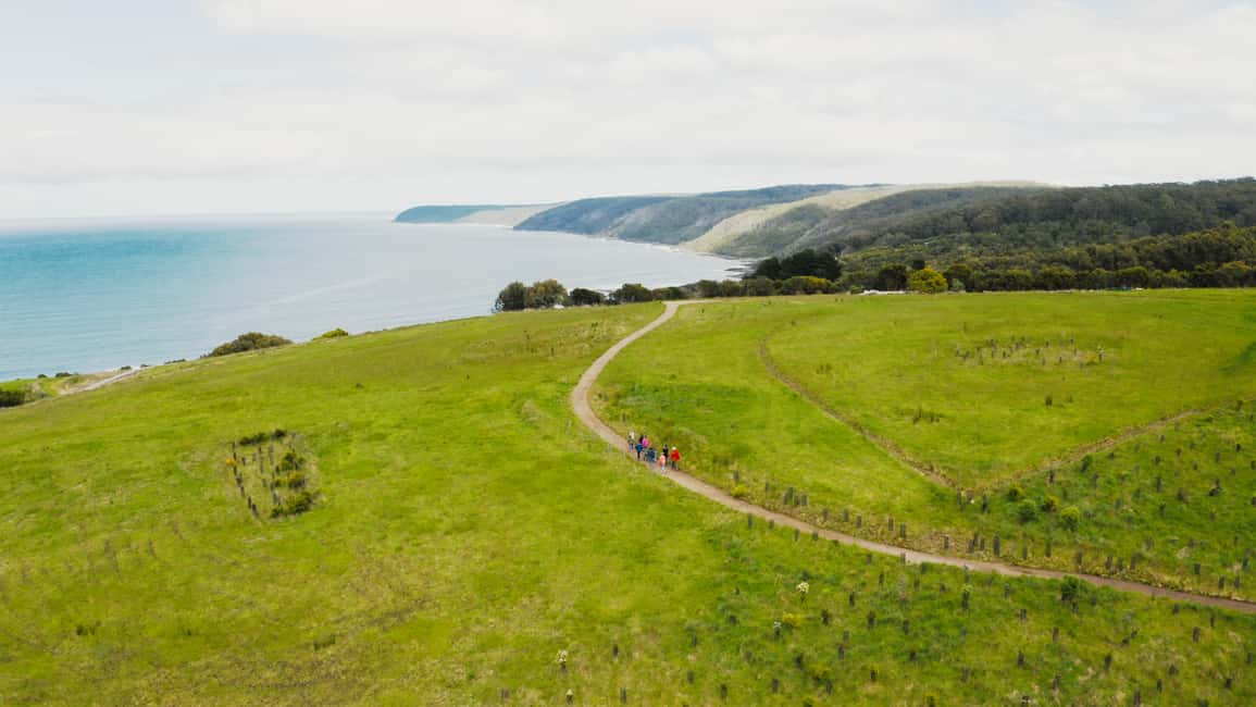 image n.10 of Great Ocean Road: Guided Wildlife Walk that Supports Nature activity in Skenes Creek, uploaded by supplier