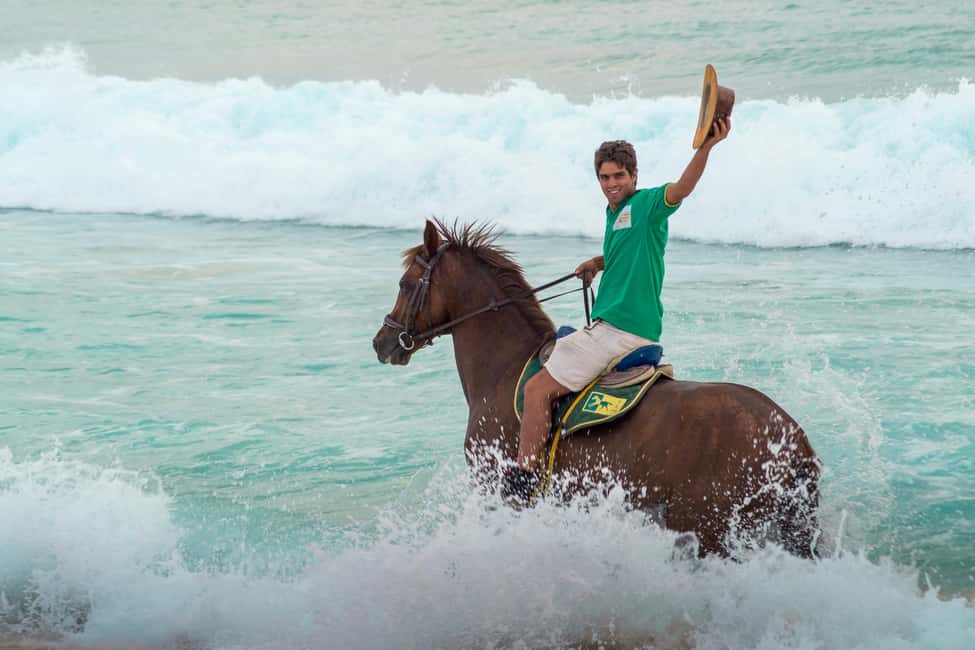 imagem n.17 de Melides: Passeios a cavalo na praia de Melides atividade em Melides, carregada pelo fornecedor