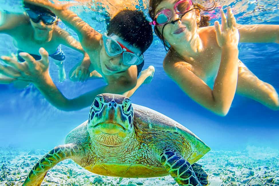 Immagine nº 2 di San Tommaso: Snorkeling - Snorkel St. John attività a Saint John, Isole Vergini americane, caricata dal fornitore