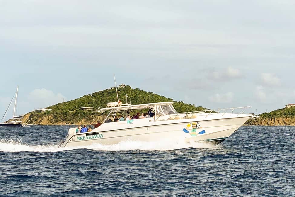 Immagine nº 6 di San Tommaso: Snorkeling - Snorkel St. John attività a Saint John, Isole Vergini americane, caricata dal fornitore