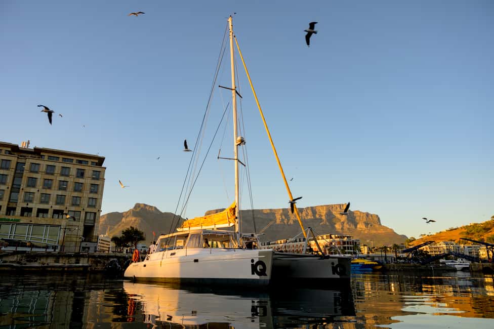 image n.2 of Cape Town: V&A Waterfront Gin Voyage Cruise activity in Cape Town, uploaded by supplier