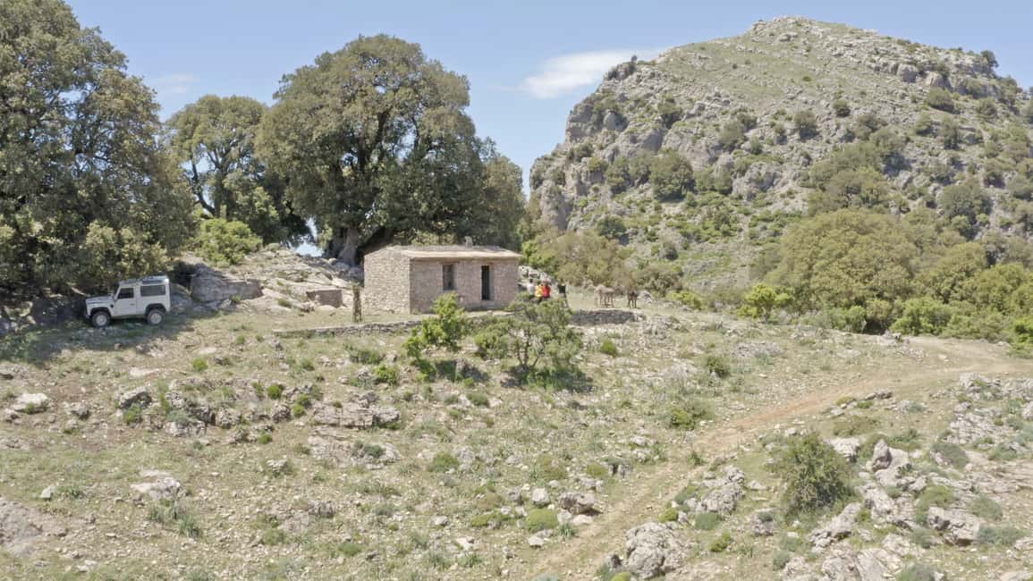 image n.20 of Orgosolo Experience: Murals and Culture with a typical Lunch activity in Sardinia, uploaded by supplier