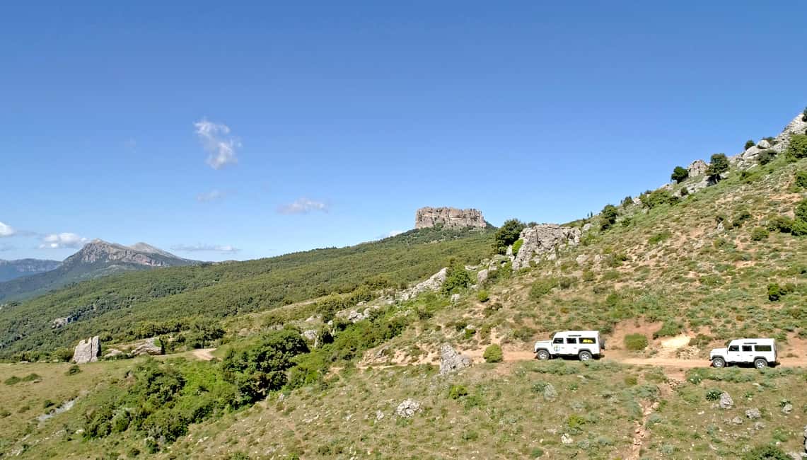 image n.21 of Orgosolo Experience: Murals and Culture with a typical Lunch activity in Sardinia, uploaded by supplier
