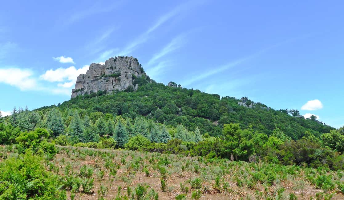 image n.23 of Orgosolo Experience: Murals and Culture with a typical Lunch activity in Sardinia, uploaded by supplier