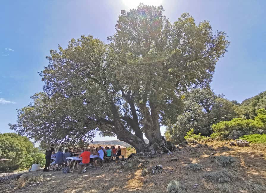 image n.13 of Orgosolo Experience: Murals and Culture with a typical Lunch activity in Sardinia, uploaded by supplier