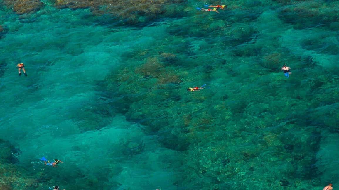 imagen n.º 5 de Cayo Hueso Snorkel en el Arrecife con Opción de Bebidas y Puesta de Sol actividad en Cayo Hueso, subida por el proveedor