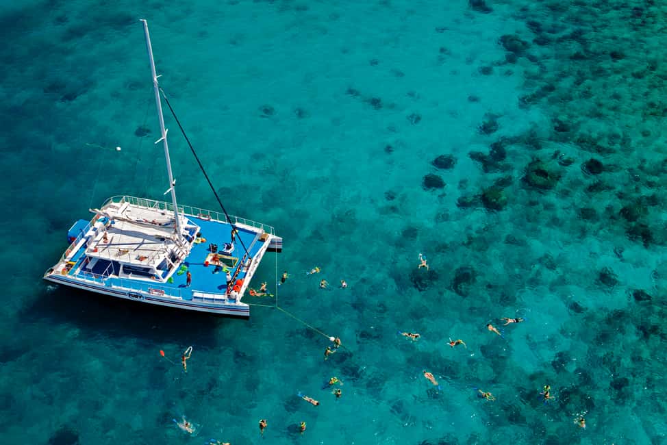 imagen n.º 6 de Cayo Hueso Snorkel en el Arrecife con Opción de Bebidas y Puesta de Sol actividad en Cayo Hueso, subida por el proveedor