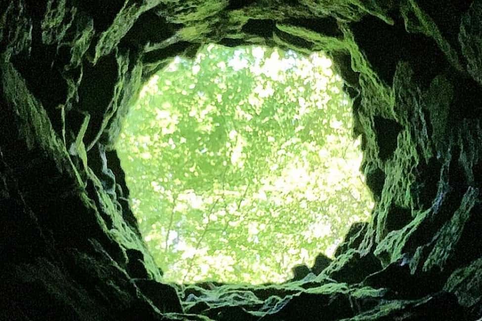 billede nr.49 af aktiviteten Heldagstur til Sintra med Pena-paladset og Quinta da Regaleira i Sintra, uploadet af udbyder