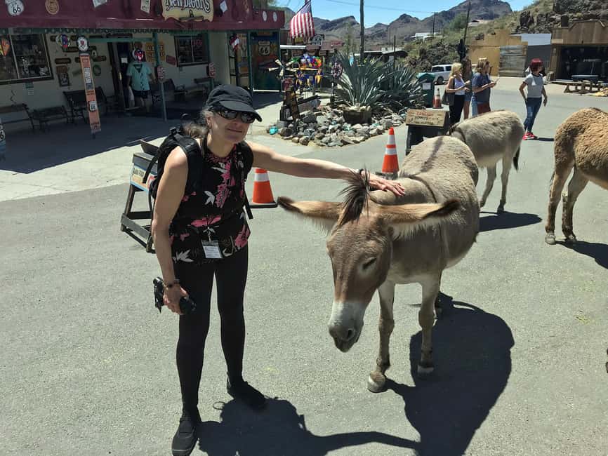 image n.11 of Oatman Mining Village: Burros/Route 66 Scenic Mountain Tour activity in Kingman, uploaded by supplier
