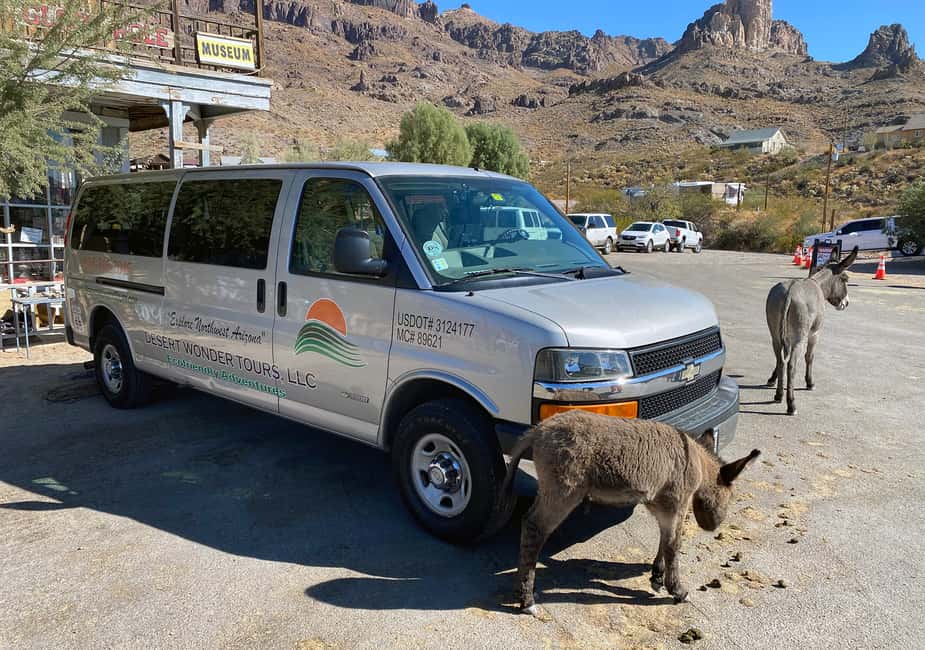 image n.15 of Oatman Mining Village: Burros/Route 66 Scenic Mountain Tour activity in Kingman, uploaded by supplier
