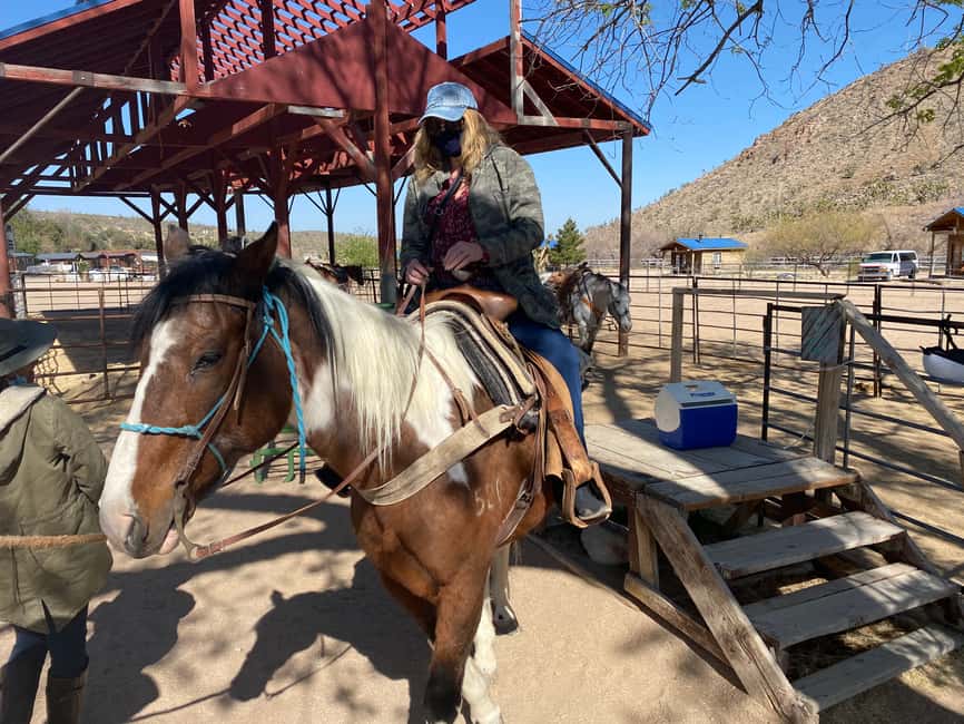 image n.4 of Horseback Ride thru Joshua Tree Forest with Buffalo & Lunch activity in Arizona, uploaded by supplier