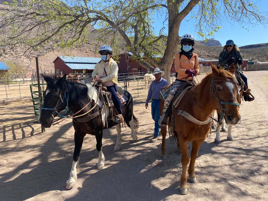 image n.5 of Horseback Ride thru Joshua Tree Forest with Buffalo & Lunch activity in Arizona, uploaded by supplier