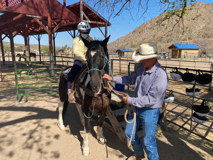 image n.6 of Horseback Ride thru Joshua Tree Forest with Buffalo & Lunch activity in Arizona, uploaded by supplier