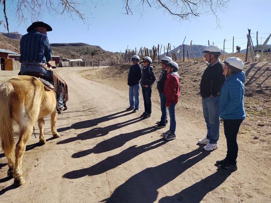 image n.15 of Horseback Ride thru Joshua Tree Forest with Buffalo & Lunch activity in Arizona, uploaded by supplier