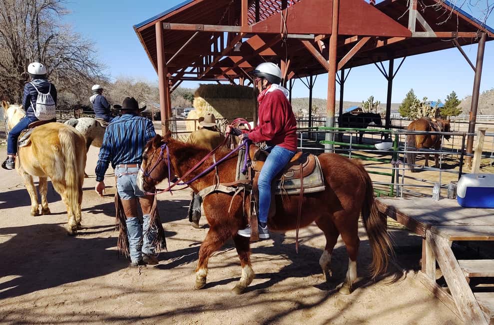 image n.16 of Horseback Ride thru Joshua Tree Forest with Buffalo & Lunch activity in Arizona, uploaded by supplier