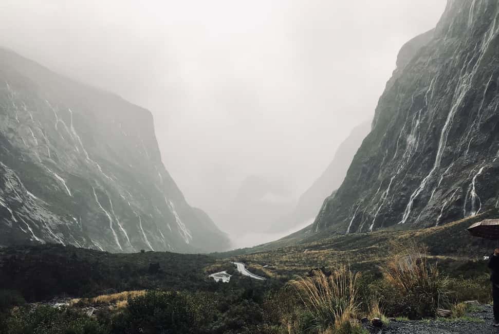 image n.12 of From Te Anau: Milford Sound Tour with Cruise and Lunch activity in South Island, uploaded by supplier