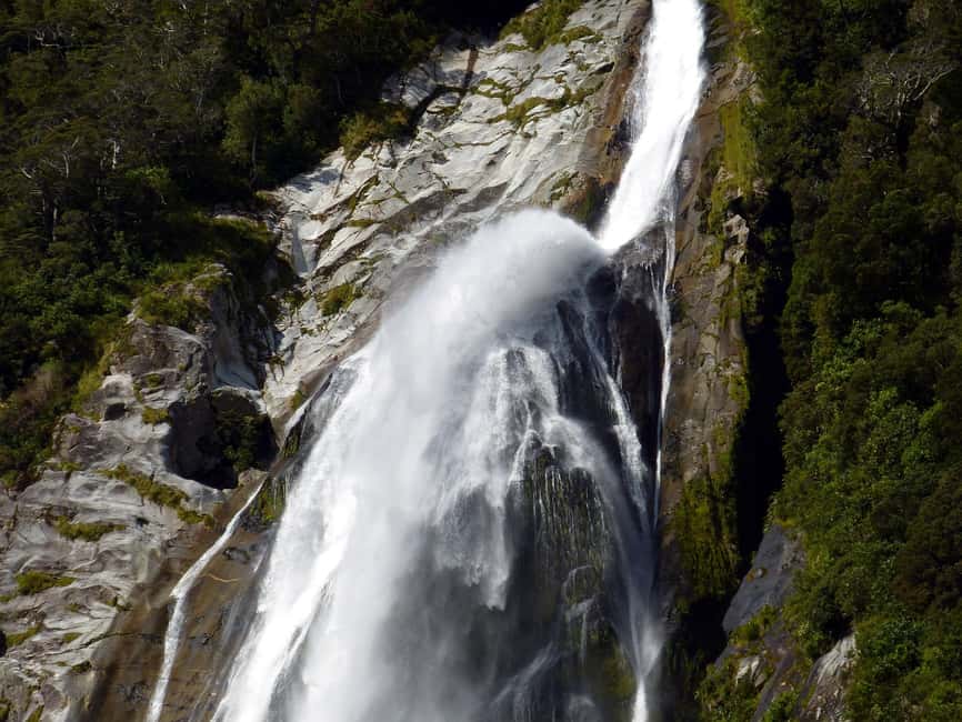 image n.14 of From Te Anau: Milford Sound Tour with Cruise and Lunch activity in South Island, uploaded by supplier